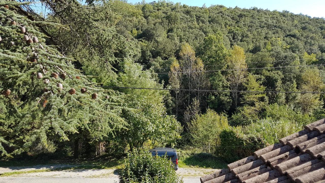 Le Clos du Cèdre Saint Sebastien d'Aigrefeuille Esterno foto