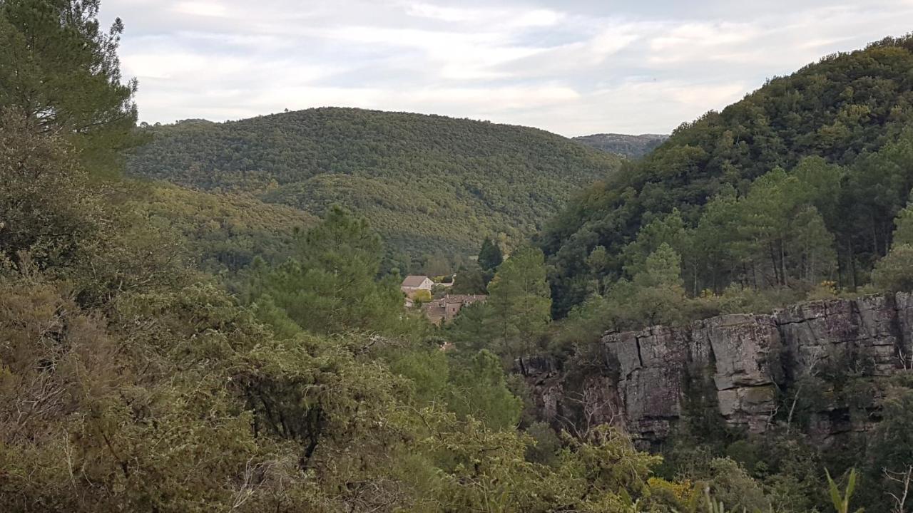 Le Clos du Cèdre Saint Sebastien d'Aigrefeuille Esterno foto