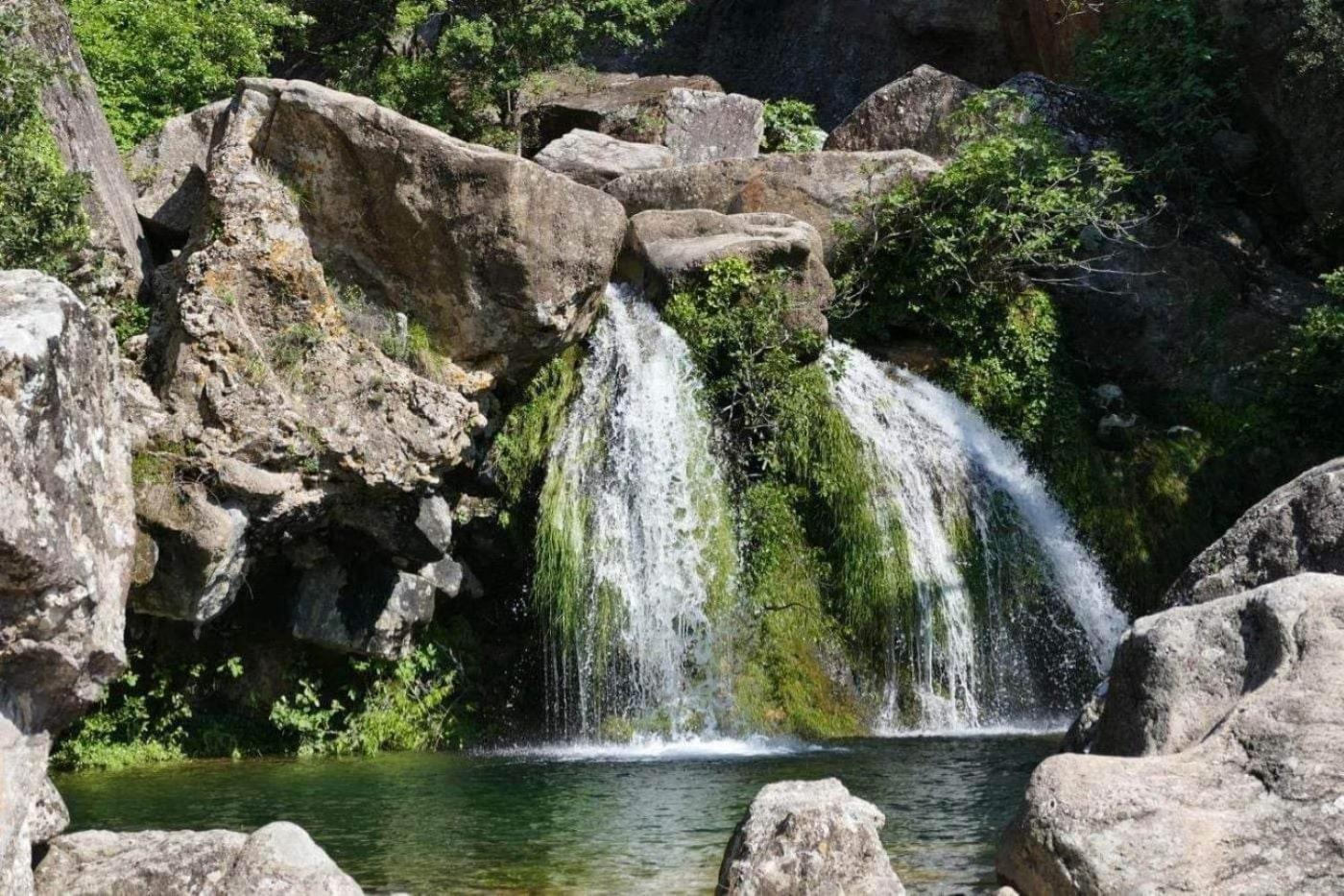 Le Clos du Cèdre Saint Sebastien d'Aigrefeuille Esterno foto