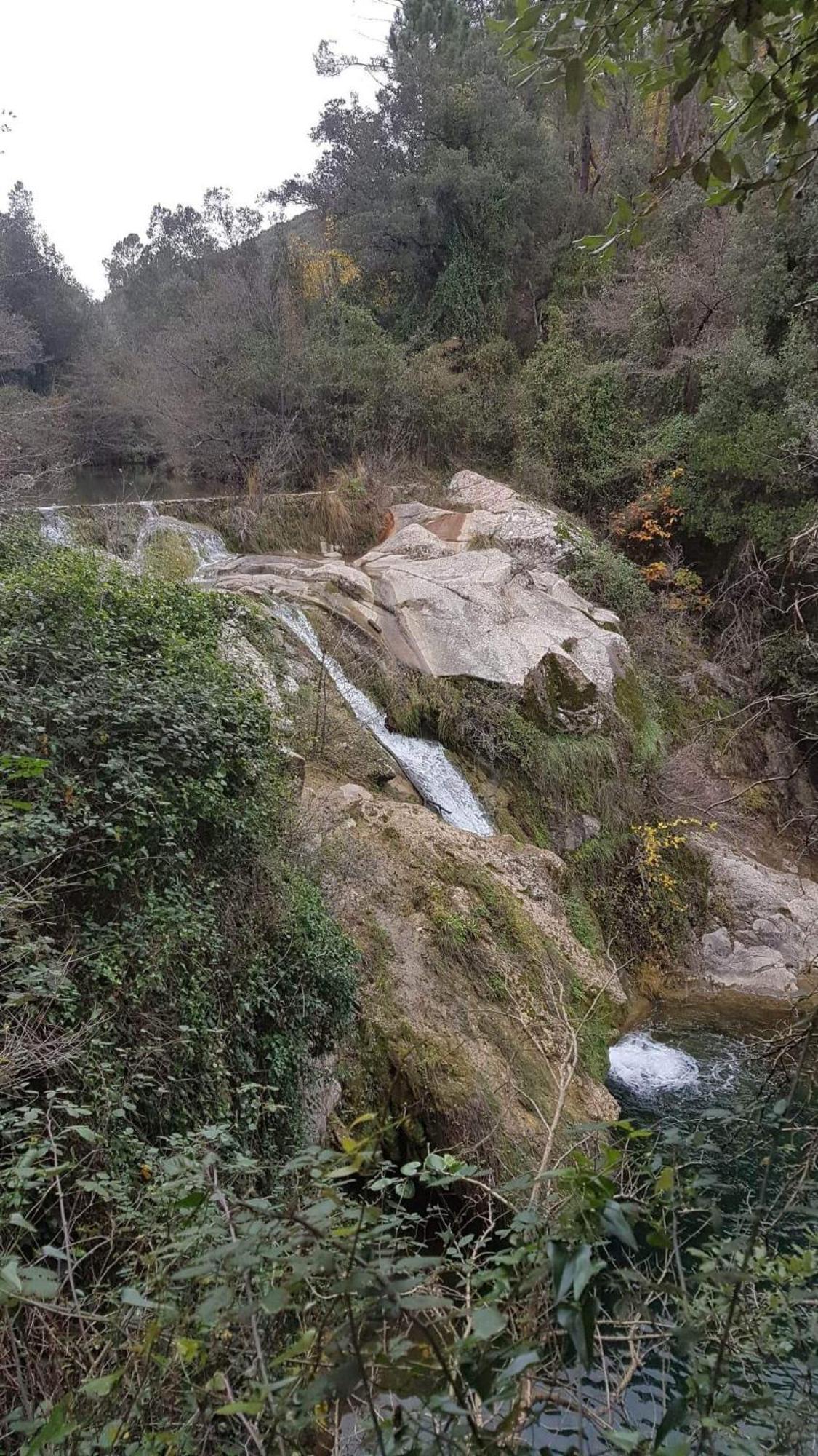 Le Clos du Cèdre Saint Sebastien d'Aigrefeuille Esterno foto