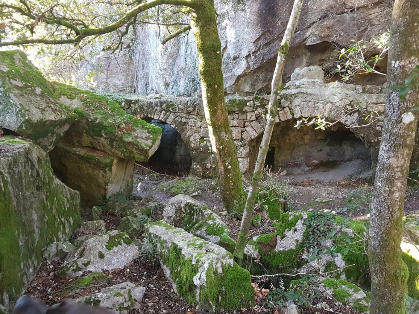 Le Clos du Cèdre Saint Sebastien d'Aigrefeuille Esterno foto