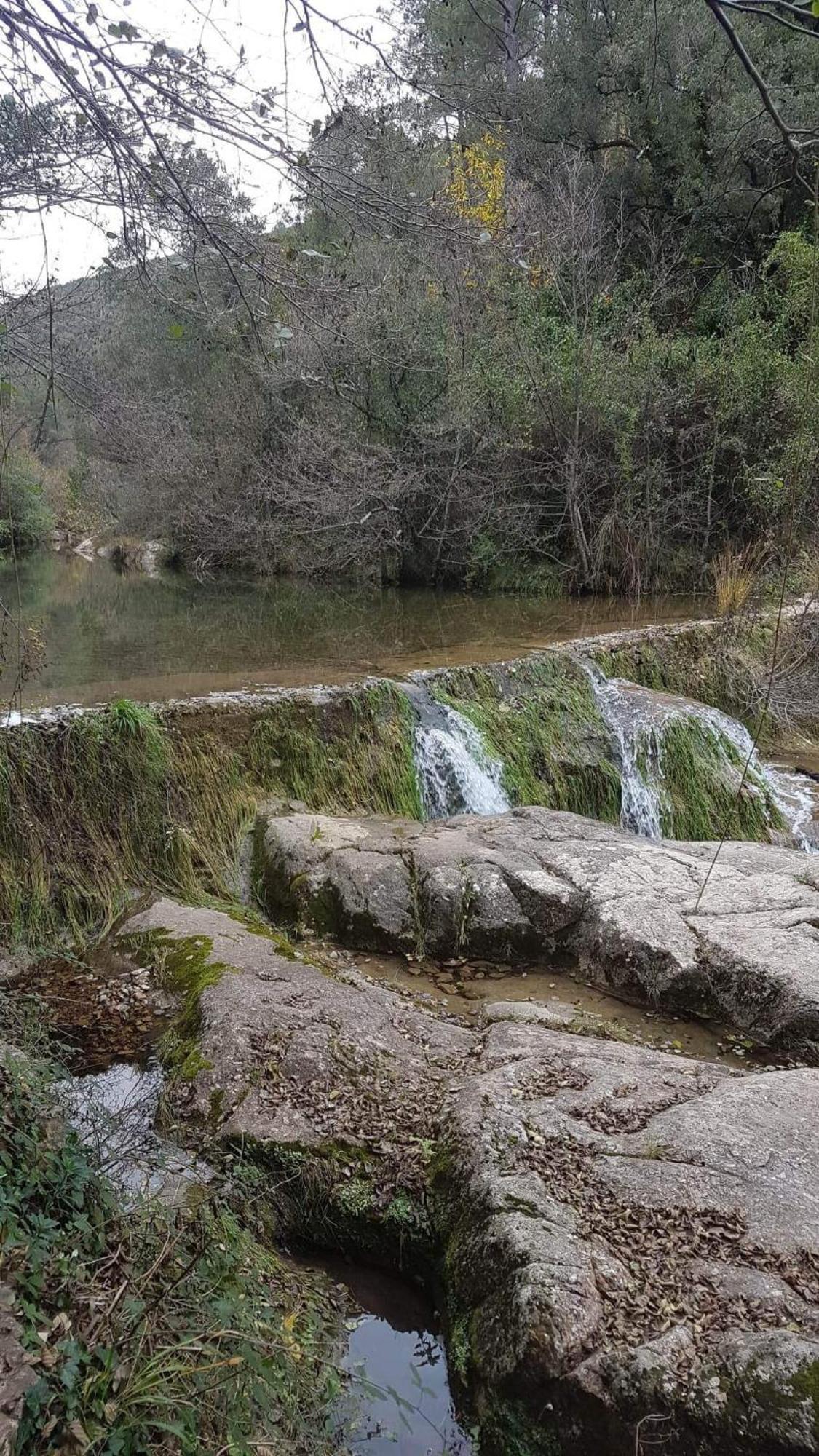 Le Clos du Cèdre Saint Sebastien d'Aigrefeuille Esterno foto