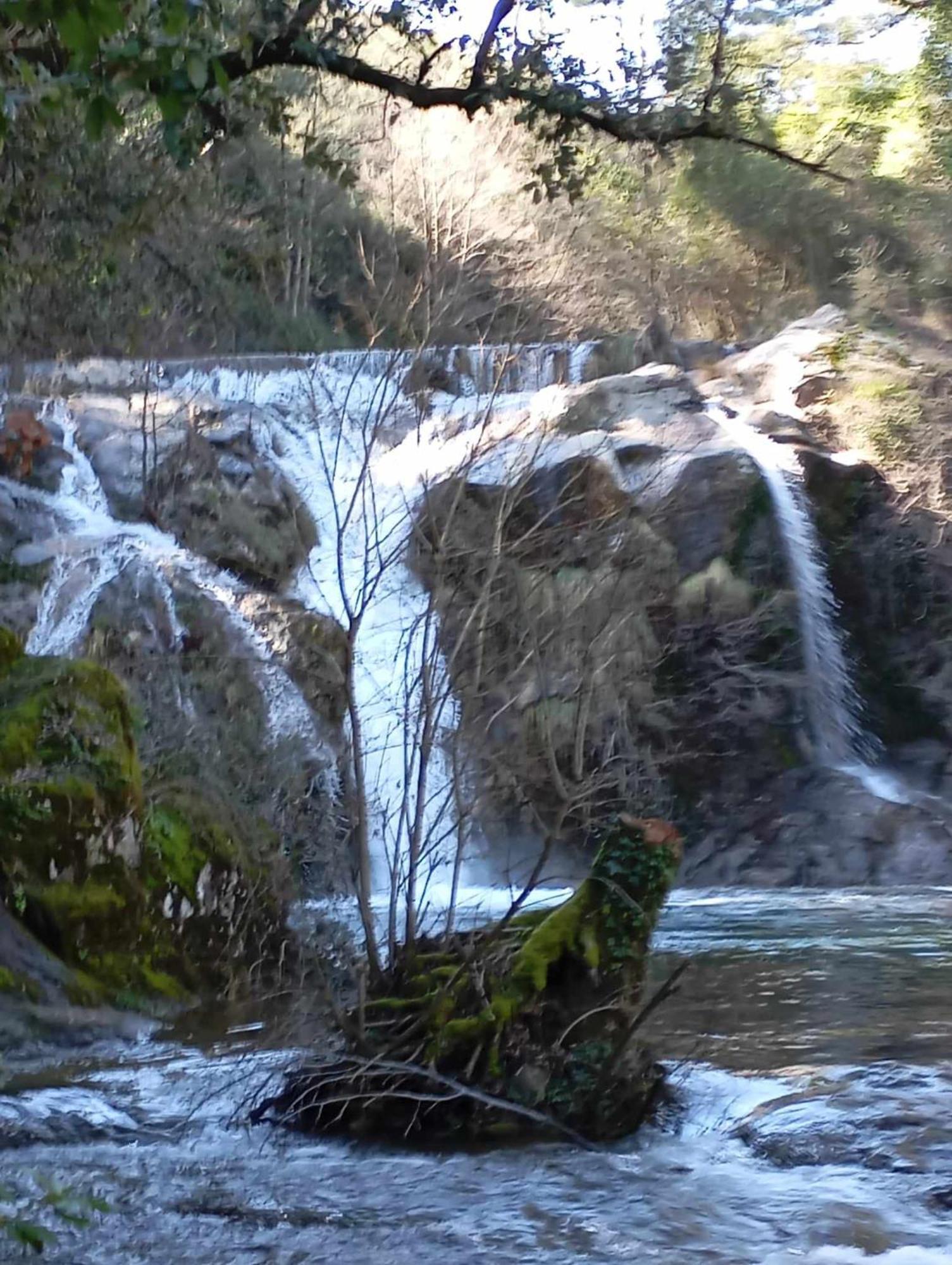 Le Clos du Cèdre Saint Sebastien d'Aigrefeuille Esterno foto